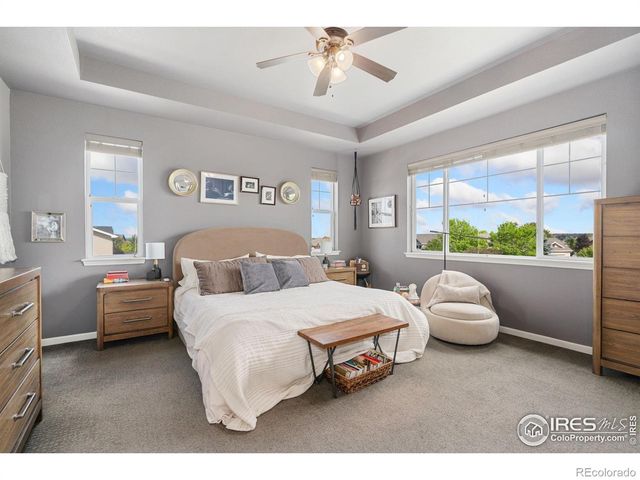 8199 White Owl Court, Windsor, CO 80550