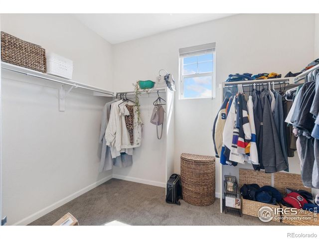 8199 White Owl Court, Windsor, CO 80550