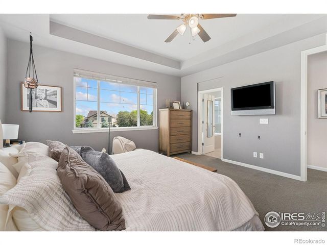 8199 White Owl Court, Windsor, CO 80550