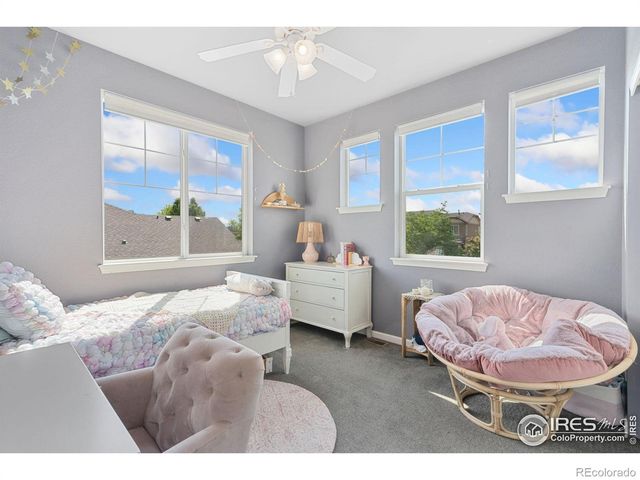 8199 White Owl Court, Windsor, CO 80550