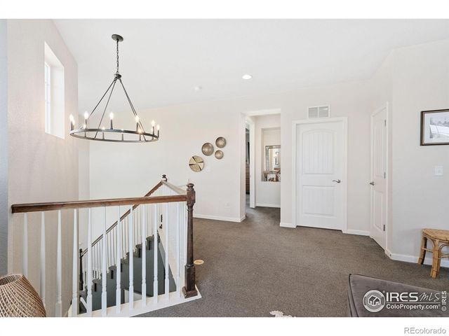 8199 White Owl Court, Windsor, CO 80550