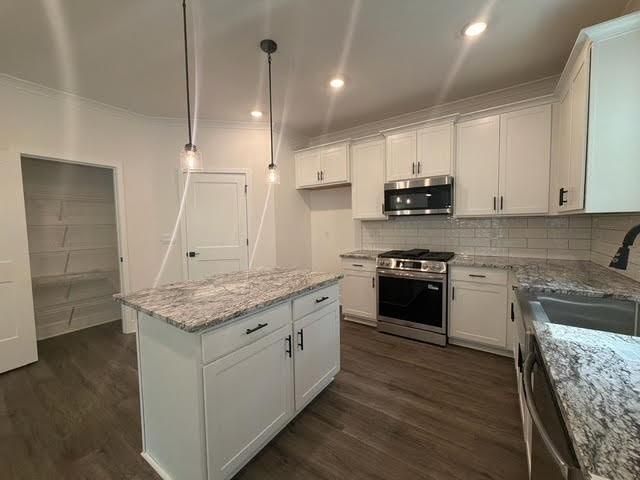 5325 Vinci Place, Douglasville, GA 30135