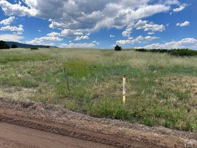 4617 Simpson Dr, Colorado City, CO 81019