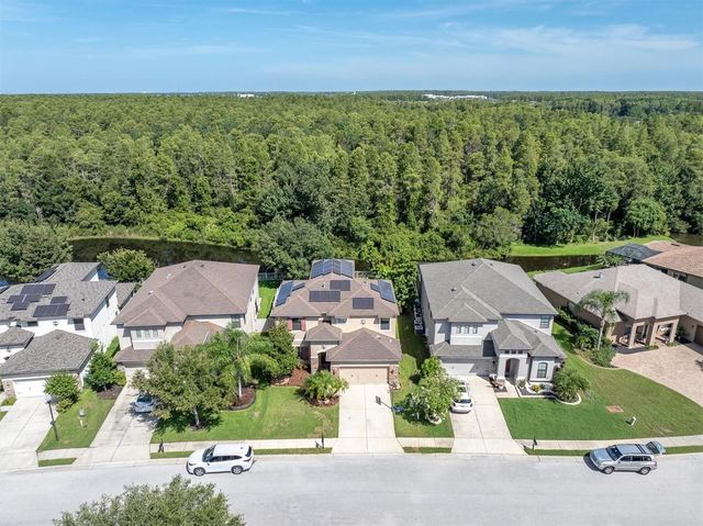 1307 KETZAL DRIVE, Trinity, FL 34655