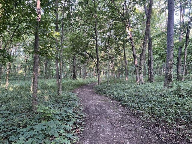 579 N County Line Road, Sunbury, OH 43074