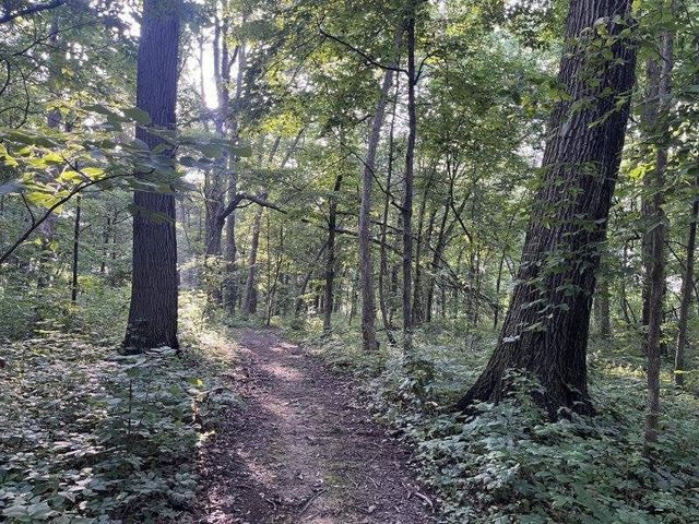 579 N County Line Road, Sunbury, OH 43074
