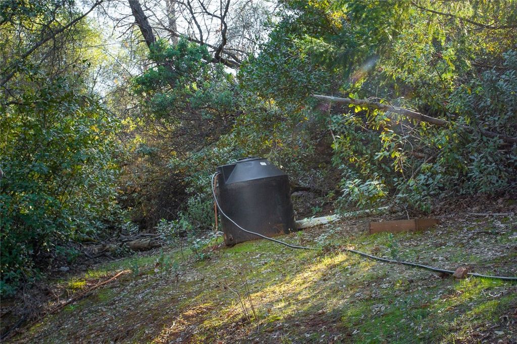 Image 23 of property listing at 0 CONDOR ROAD, Cherokee, CA 95965