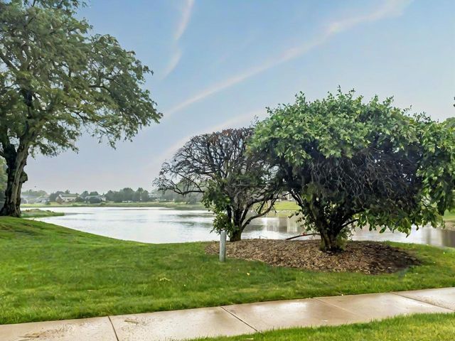 15704 Orlan Brook Drive 163, Orland Park, IL 60462