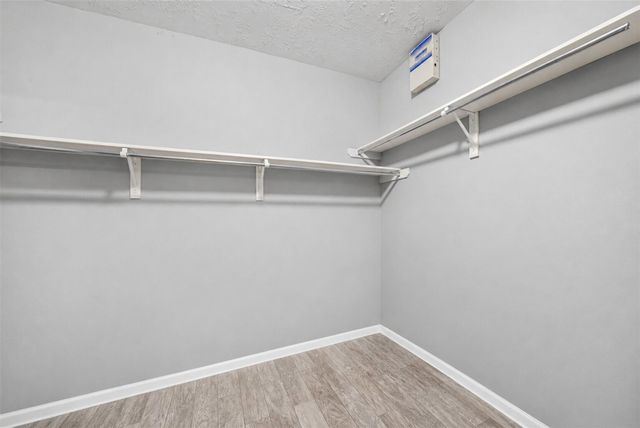 8811 Champion Springs Circle, Spring, TX 77379