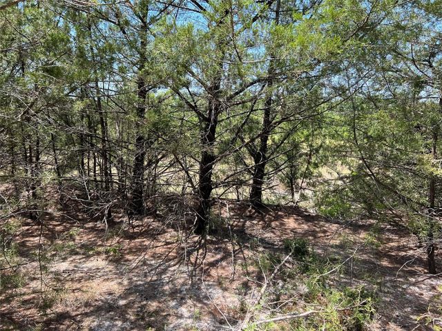 11AC Pilot Grove Road, Whitewright, TX 75491