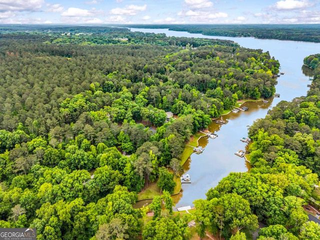 1730 Parks Mill Drive, Greensboro, GA 30642