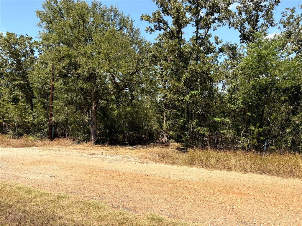 501 Redberry Road, Somerville, TX 77879 — photo 3