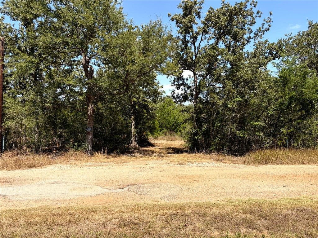 501 Redberry Road, Somerville, TX 77879 — photo 4