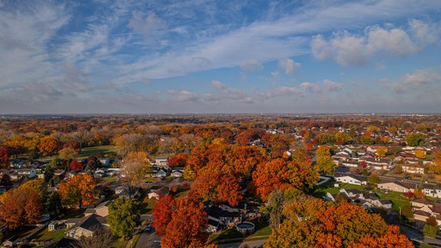 927 Woodhollow Drive, Schererville, IN 46375