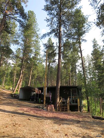 23747 ORE CAR TRAIL, Hill City, SD 57745
