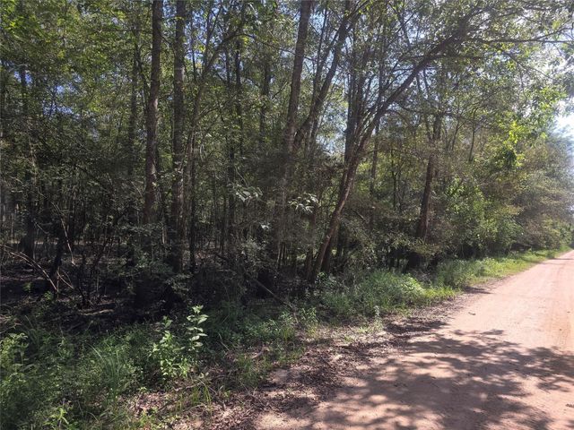 TBD Undeveloped, Dayton Lakes, TX 77535