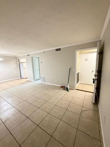 13697 ORANGE SUNSET DRIVE 101, Tampa, FL 33618