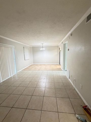 13697 ORANGE SUNSET DRIVE 101, Tampa, FL 33618