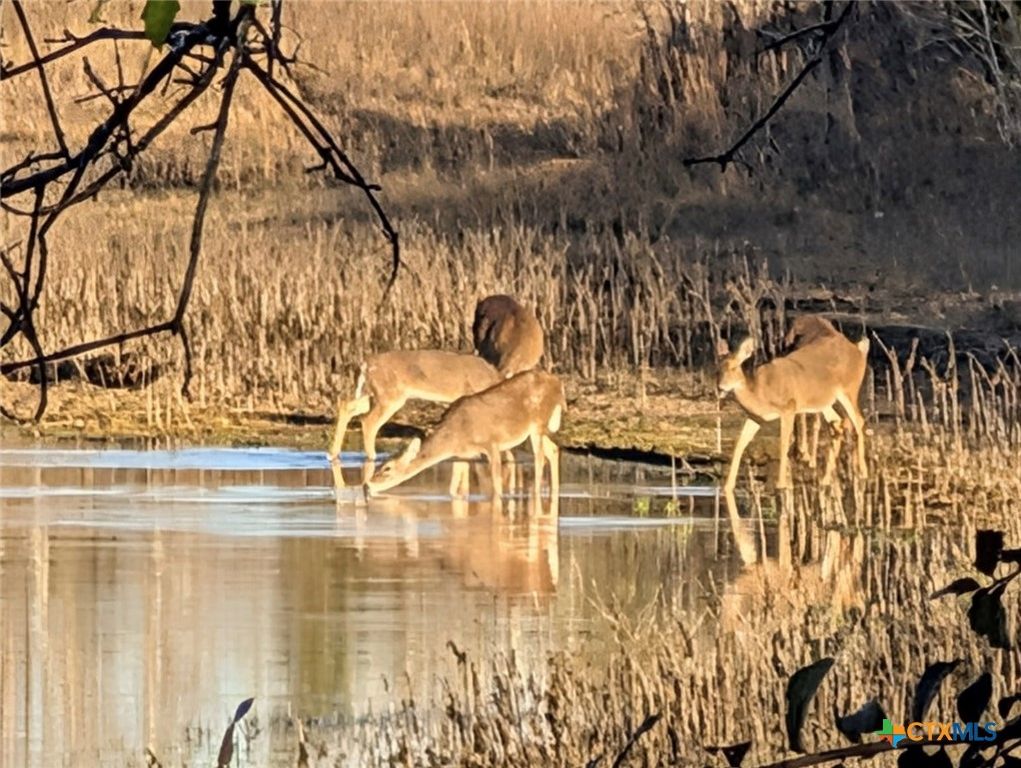 Image 41 of property listing at 15631 Fm 682, Yoakum, TX 77995