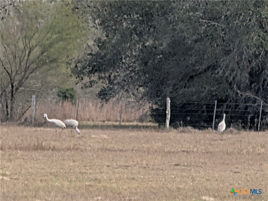 Image 42 of property listing at 15631 Fm 682, Yoakum, TX 77995