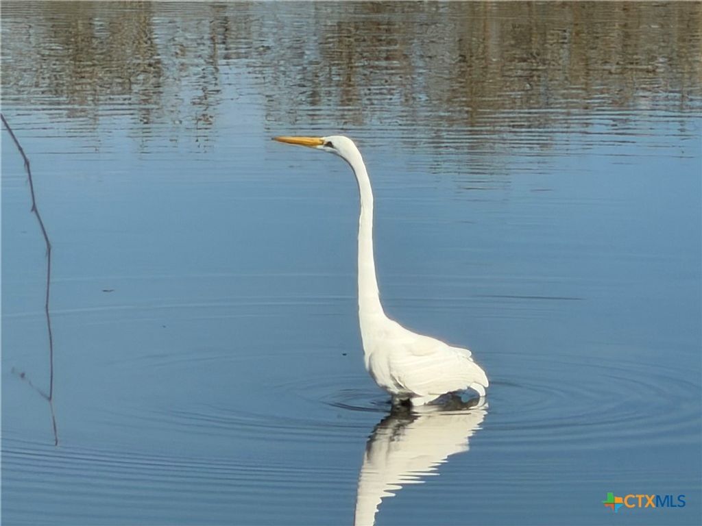 Image 43 of property listing at 15631 Fm 682, Yoakum, TX 77995