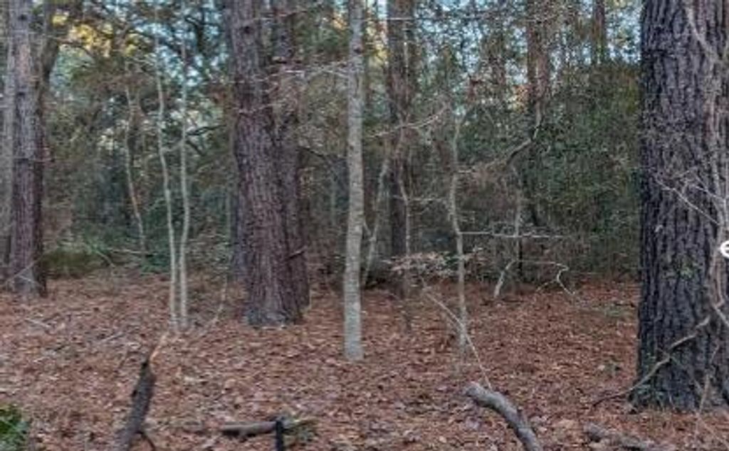 1981 Liberia Road, Wadmalaw Island, SC 29487