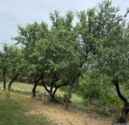195 EAGLE CRST, Spring Branch, TX 78070