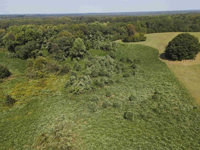 0 Fosters Grove Road, Chesnee, SC 29323