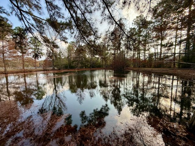 64 Delancy Robbins Rd., Columbia, MS 39429