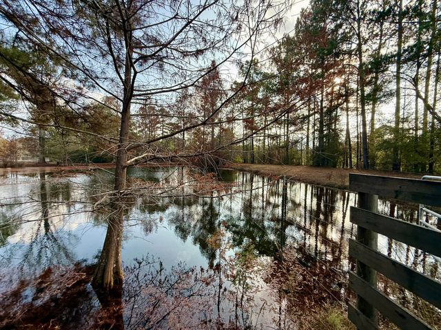 64 Delancy Robbins Rd., Columbia, MS 39429