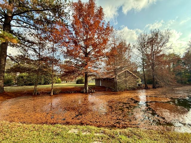 64 Delancy Robbins Rd., Columbia, MS 39429