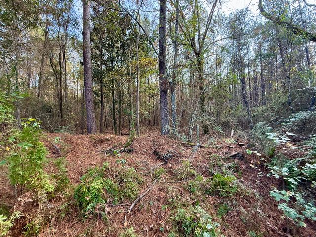 64 Delancy Robbins Rd., Columbia, MS 39429