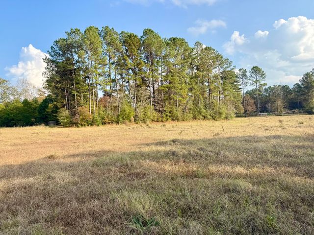 64 Delancy Robbins Rd., Columbia, MS 39429