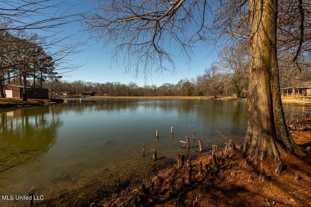 387 Black Bear Cove, Hernando, MS 38632