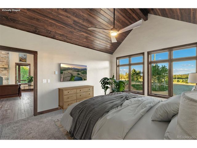 211 Foxtail Ct, Fairplay, CO 80440