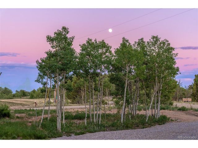 211 Foxtail Ct, Fairplay, CO 80440