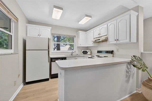 492 SANTA CRUZ PLACE NE E, St Petersburg, FL 33703