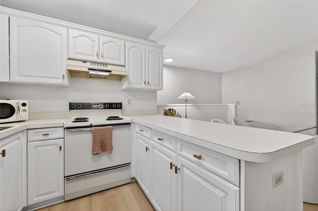 492 SANTA CRUZ PLACE NE E, St Petersburg, FL 33703