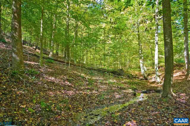 Lot 4 PR DAVENTRY LN, Charlottesville, VA 22911
