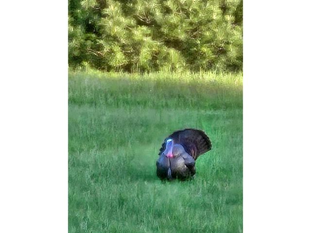 425 Taylor Street, Milton, VT 05468