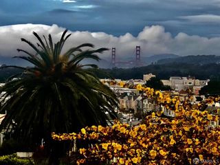 2422 Pacheco Street, San Francisco, CA 94116