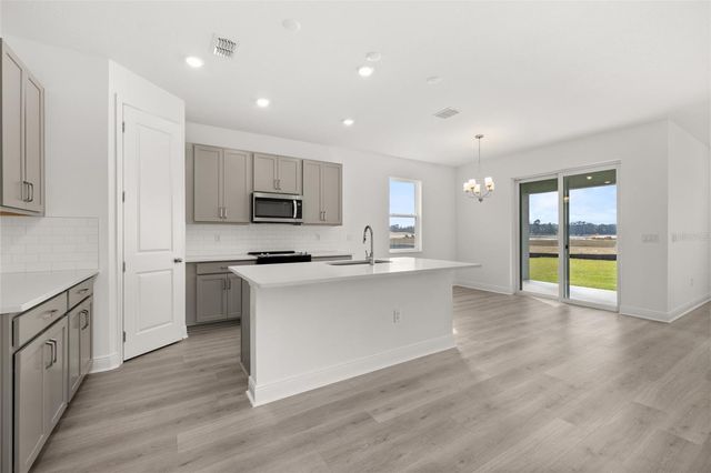 1014 SWAMP CHESTNUT LOOP, Lady Lake, FL 32159