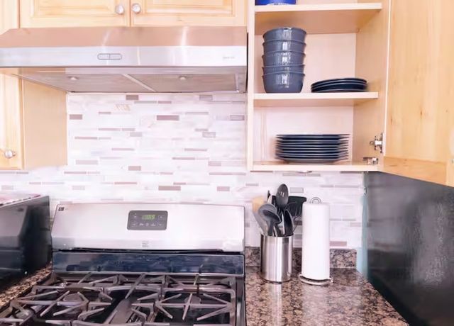 1028 W 20th Place 1, Chicago, IL 60608