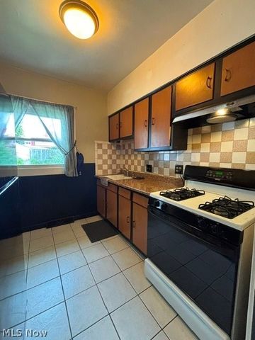 1131 Murray Avenue, Akron, OH 44310