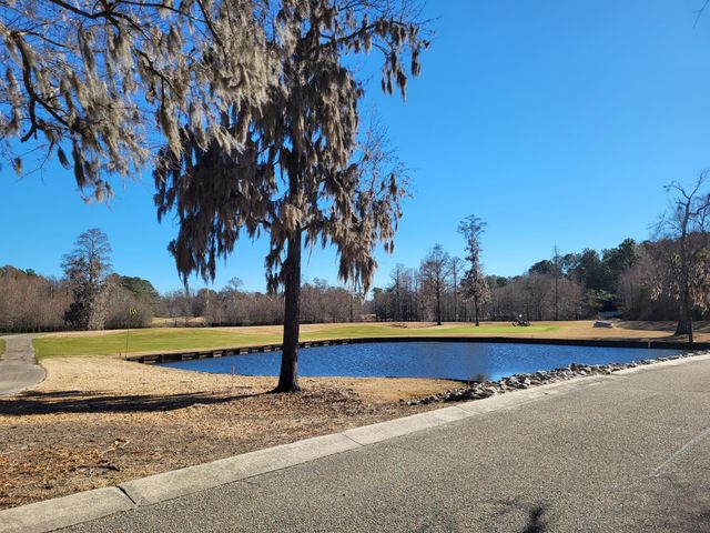 635 Bucks Trail, Longs, SC 29568