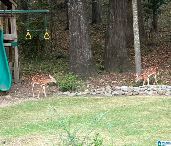 1380 STARCROSS DRIVE, Vestavia Hills, AL 35216