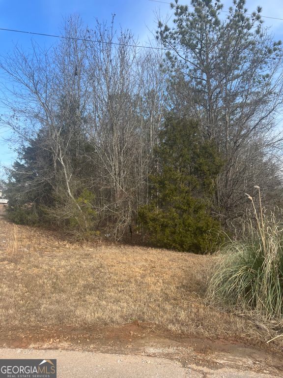 198 Gregory Drive, Martin, GA 30557