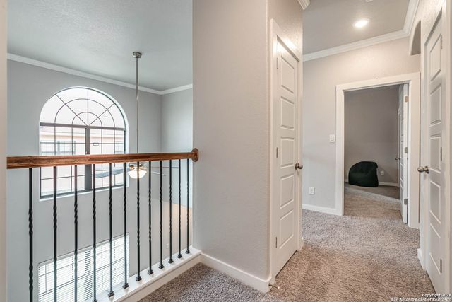 1606 Eckhert # 1402, San Antonio, TX 78240