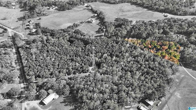 0 EUREKA ROAD, Lincoln, AL 35096