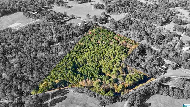 0 EUREKA ROAD, Lincoln, AL 35096